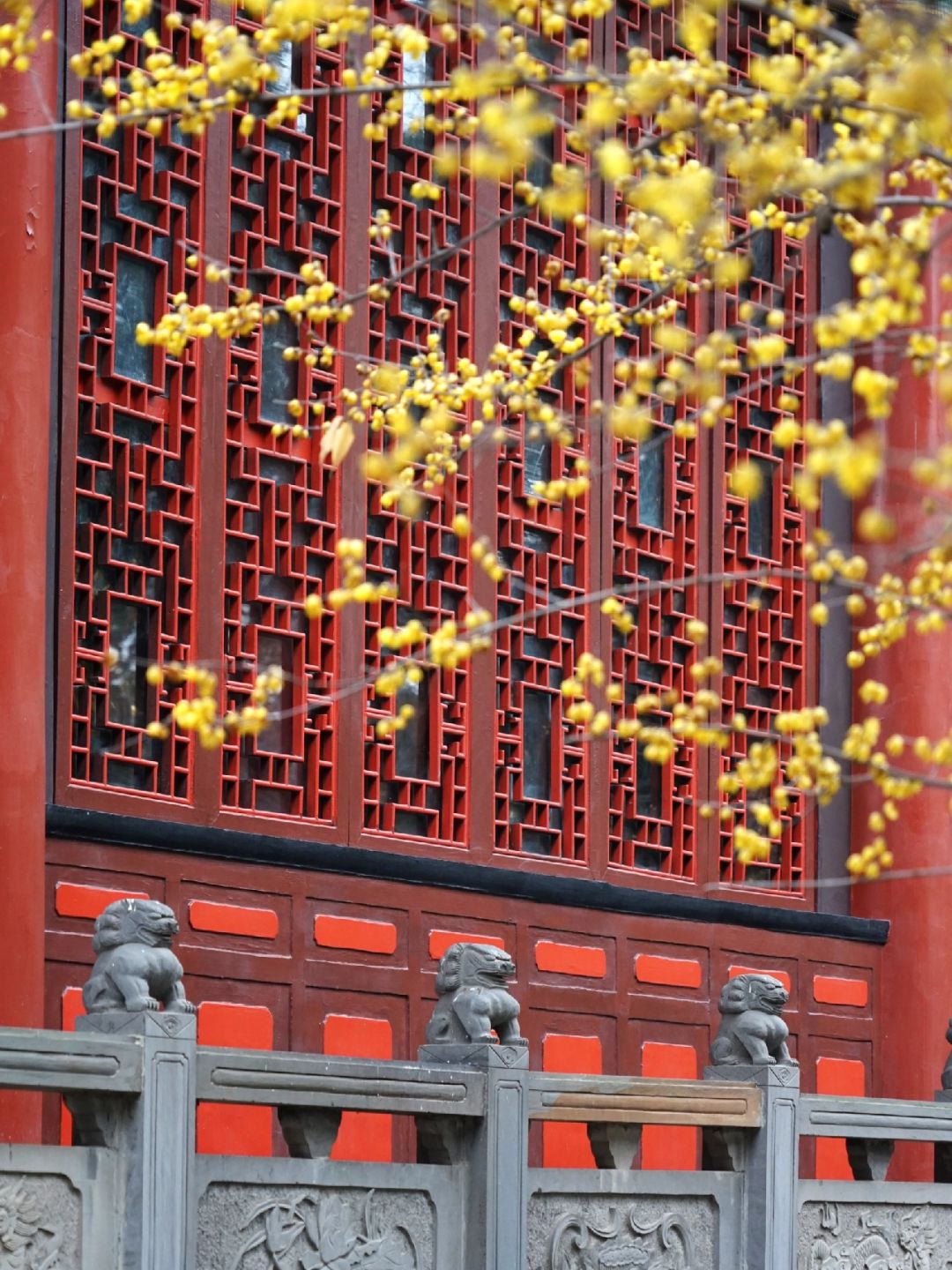 昭觉寺，为有暗香来