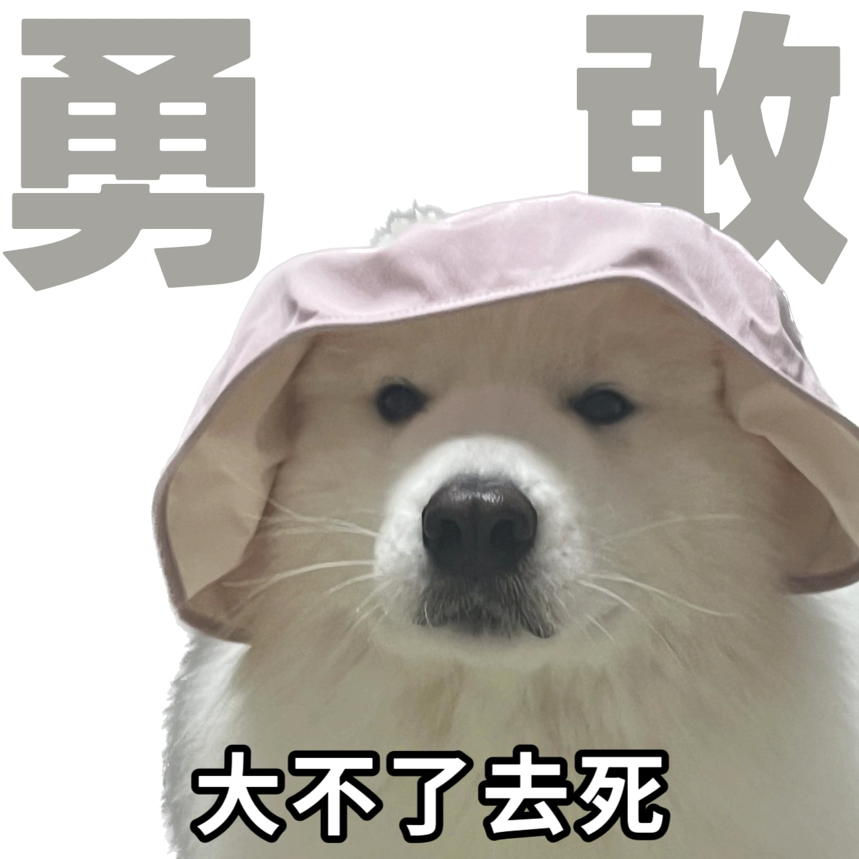 当代青年9大美好品格cr 一坨米的朋友圈 ​​​