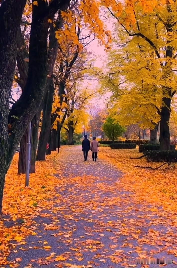 被人真挚地爱着（或爱过）是一种深刻而温暖的体验，它能够让人感受到生命的意义和价值