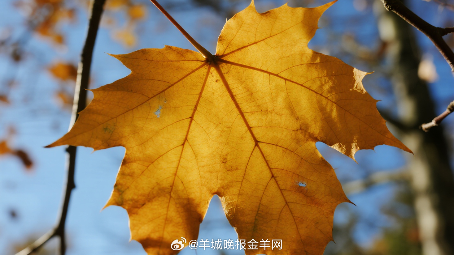 #早安# 慢慢改掉一个坏习惯，渐渐掌握一项新技能，偶尔尝试一些新挑战……那些微小