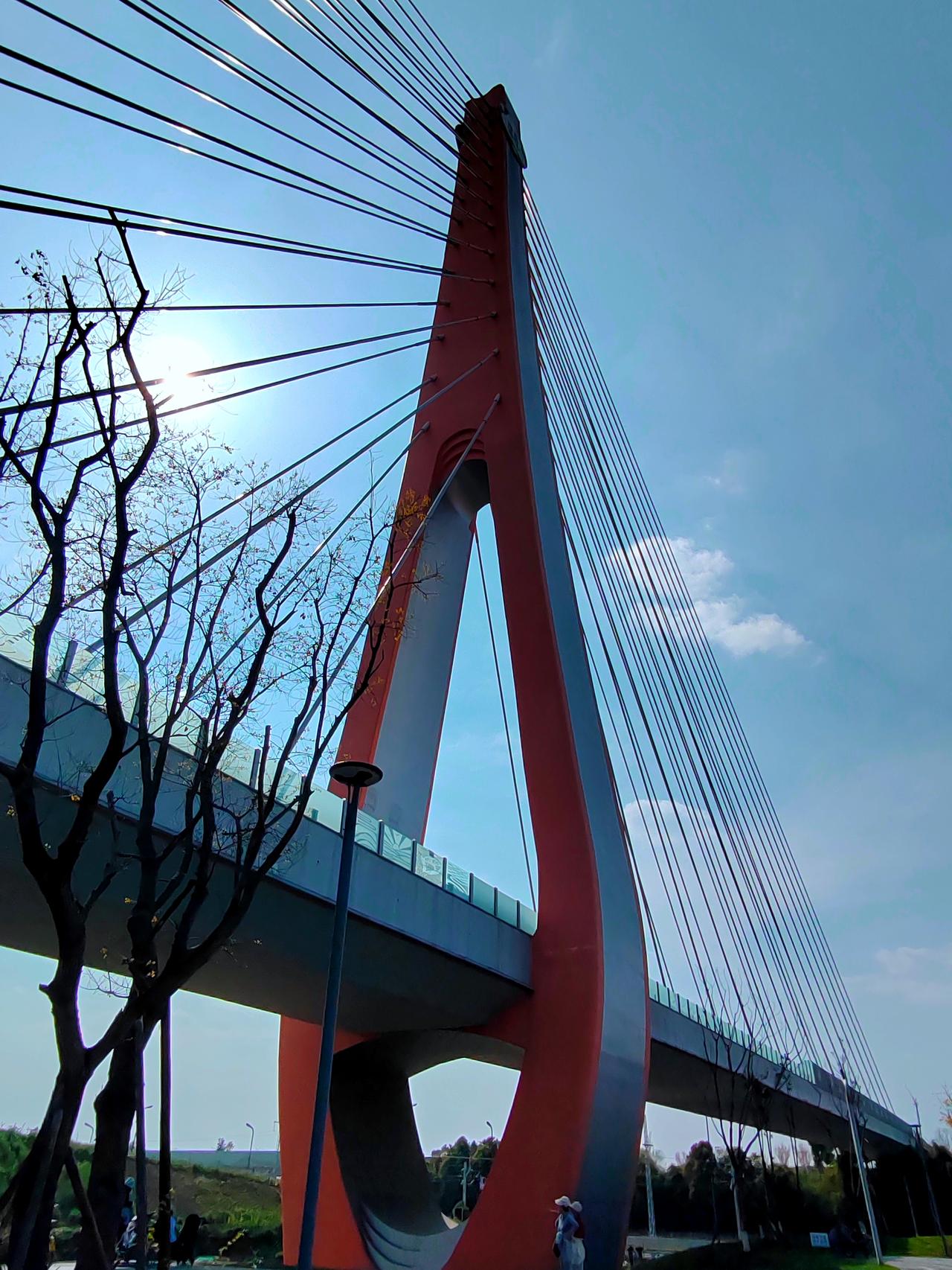 漫步绿道，偶遇这座地标大桥。仰拍的视角，竟拍出了宏伟的气势。阳光正好，蓝天白云作