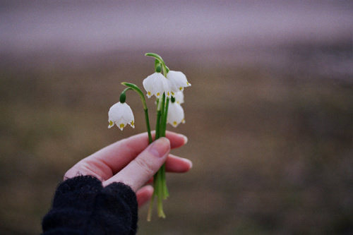 Three solutions to every problem: accept