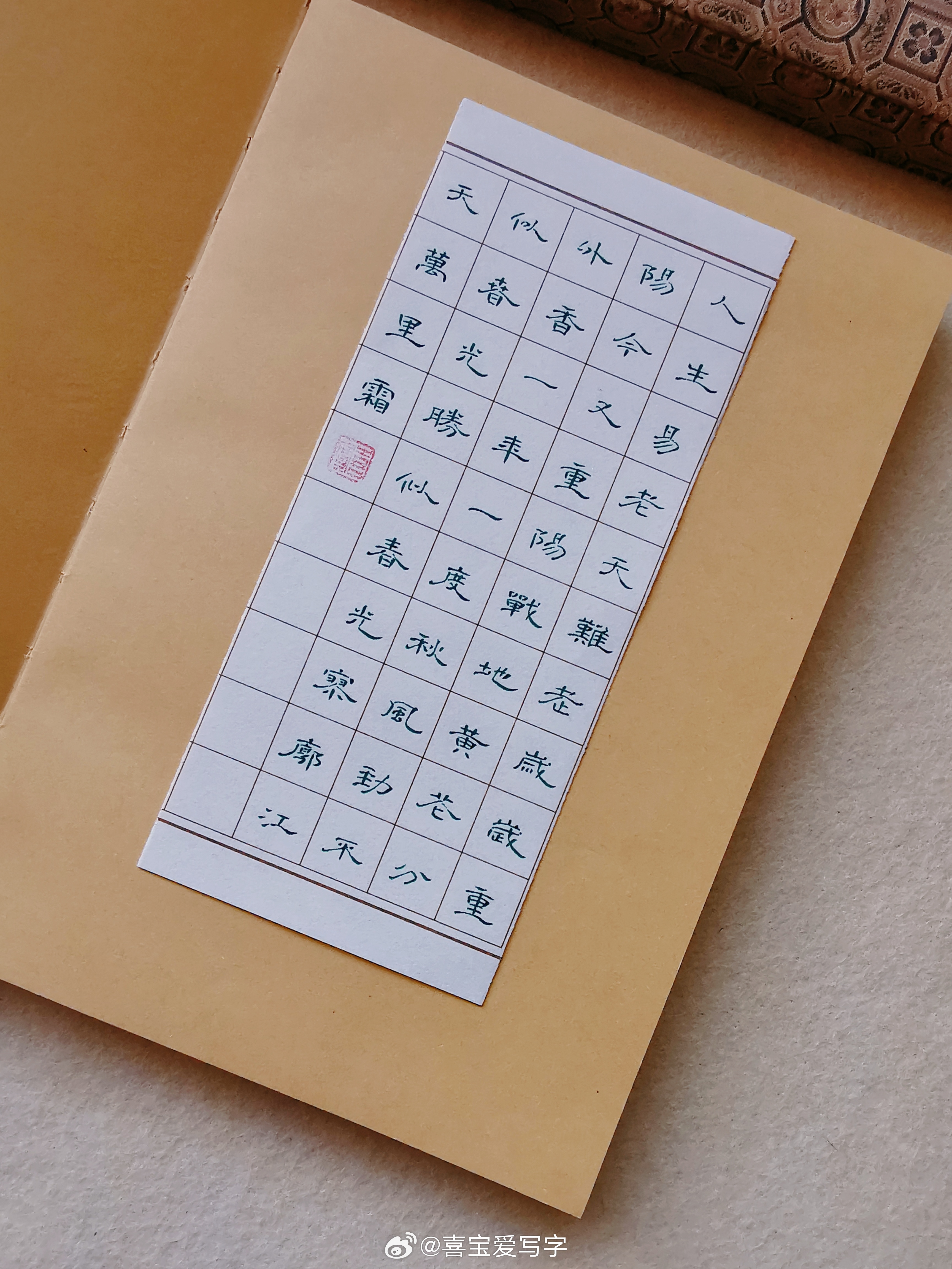 人生易老天难老，岁岁重阳。今又重阳，战地黄花分外香。一年一度秋风劲，不似春光。胜