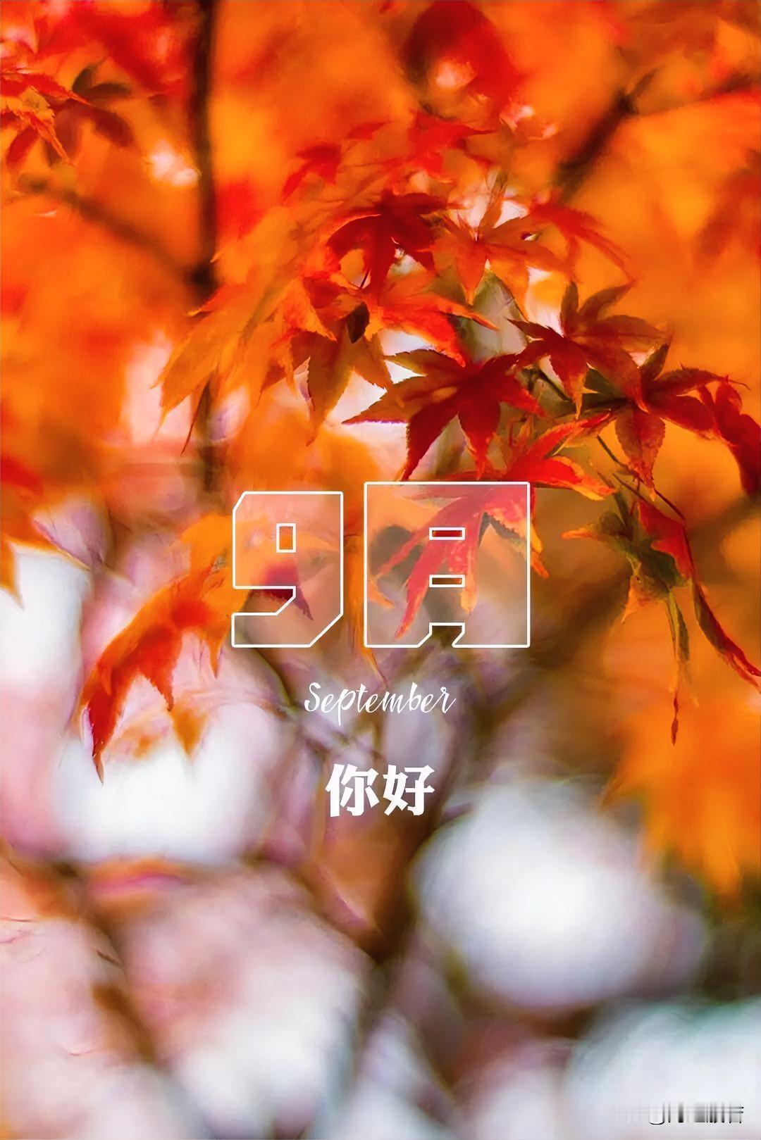九月
      
               ——海之般若

天空多高远
看