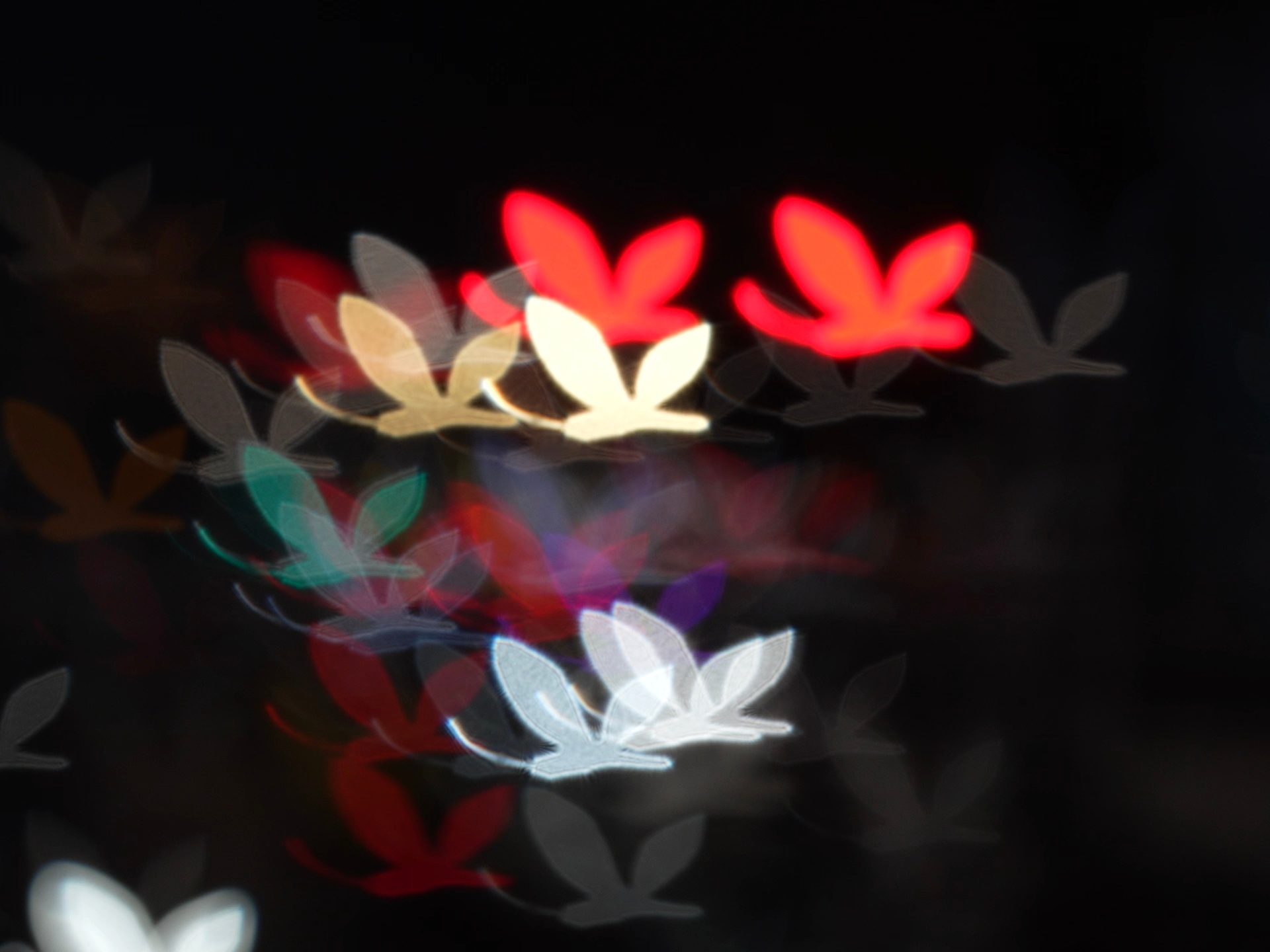 又做了一个蝴蝶的遮罩，可以让焦外光斑变成蝴蝶，相机和手机增距镜都可以用