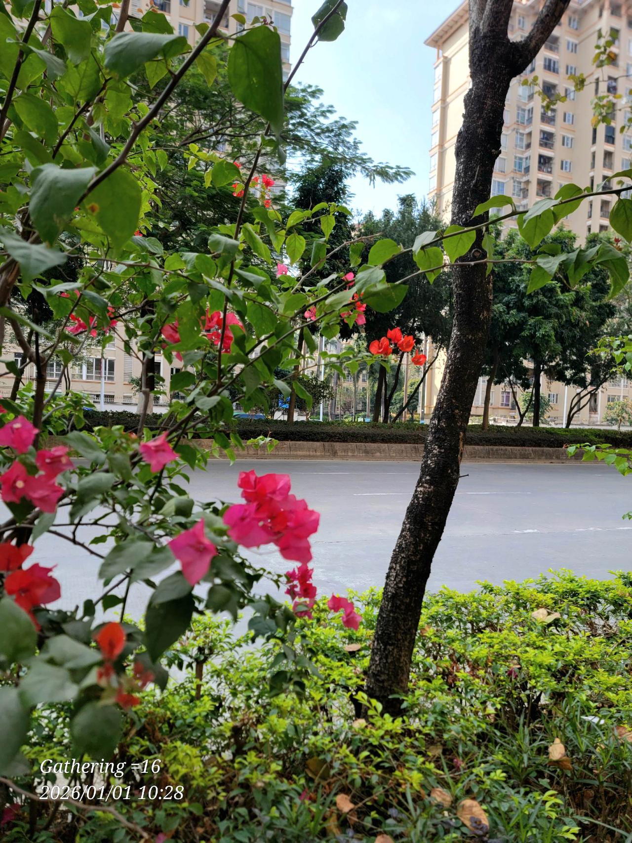 2026年你好，这一年充满了无限的可能。也让路上的独行者们有了更多天涯的梦想！