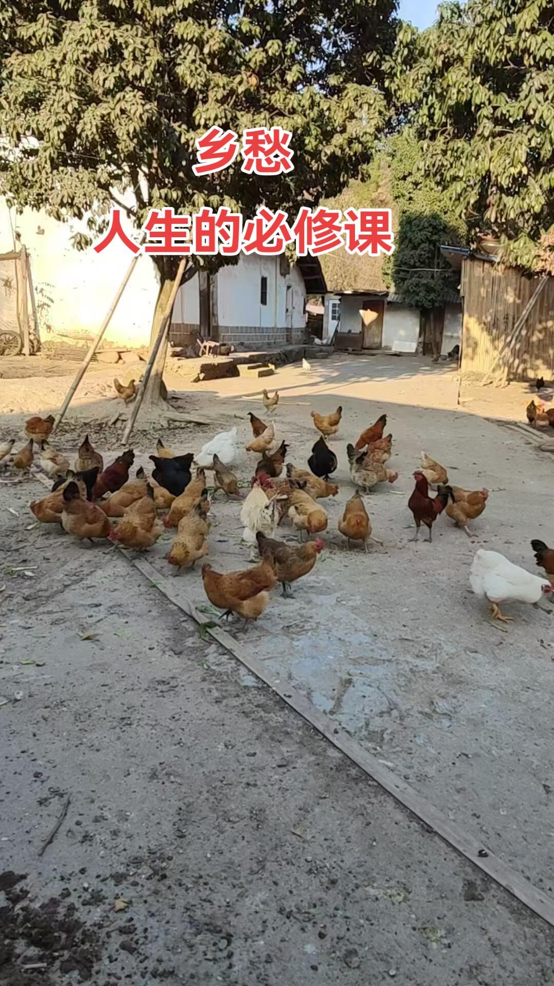 所有的不甘，都是因为还心存梦想，在你放弃之前，好好拼一把，只怕心老，不怕路长。