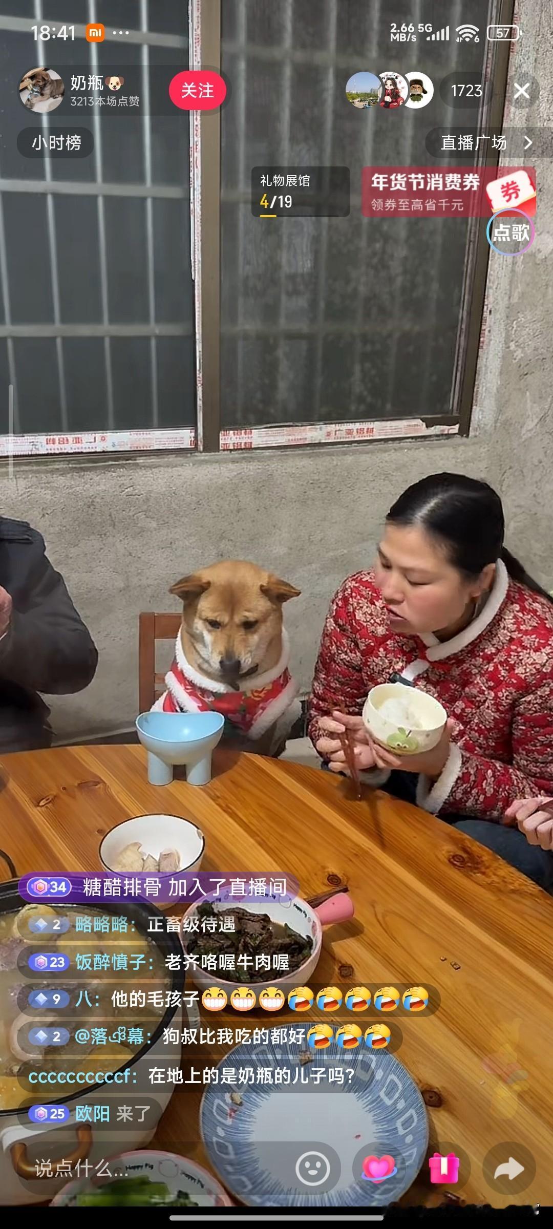 狗与狗的差距，比人和人还大！
 
刷到这个直播直接破防了：一只叫“奶瓶”的土狗穿