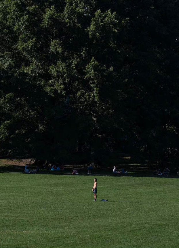 一个人有了自由的意识及淡漠的态度，才能深切热烈地享受快乐的人生。   ——  林