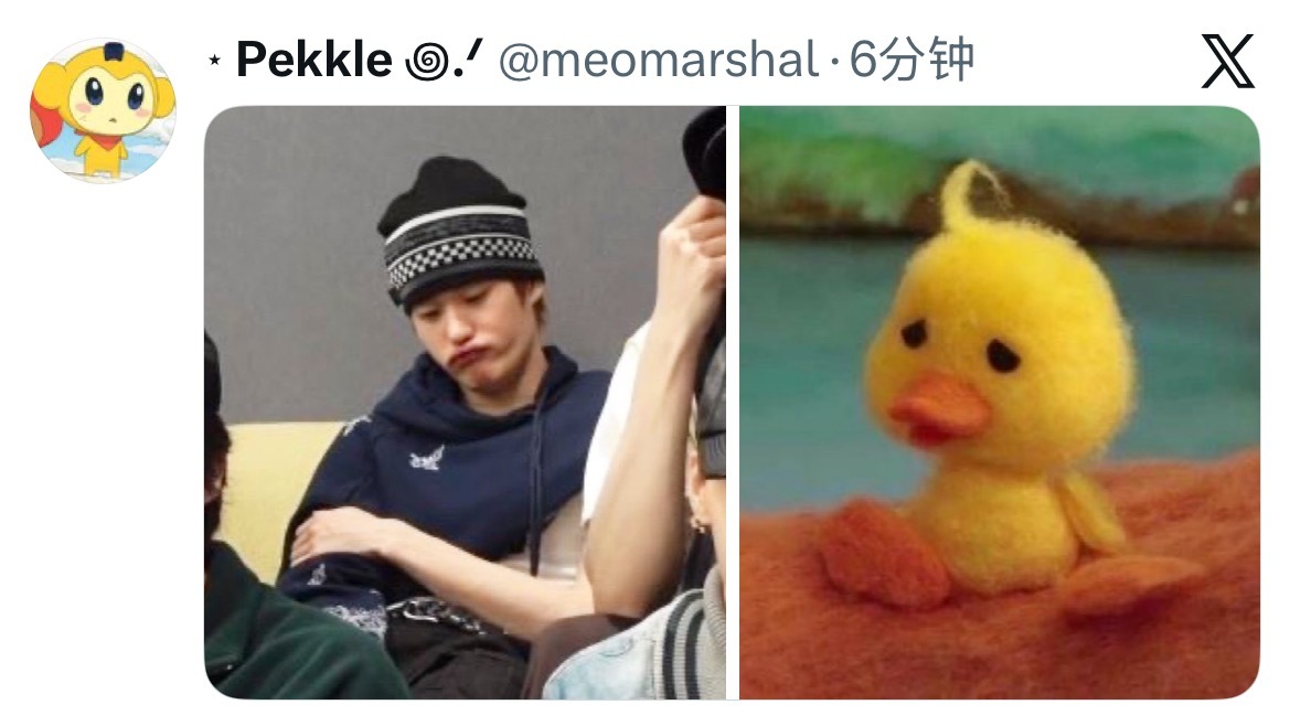 啊啊啊啊啊是鸭鸭～