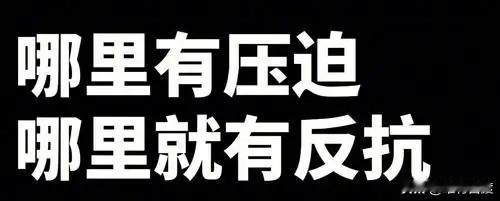 历史事实再次证明，哪里有压迫，哪里就有反抗，哪里就有斗争。这是咱们伟人说的，也是