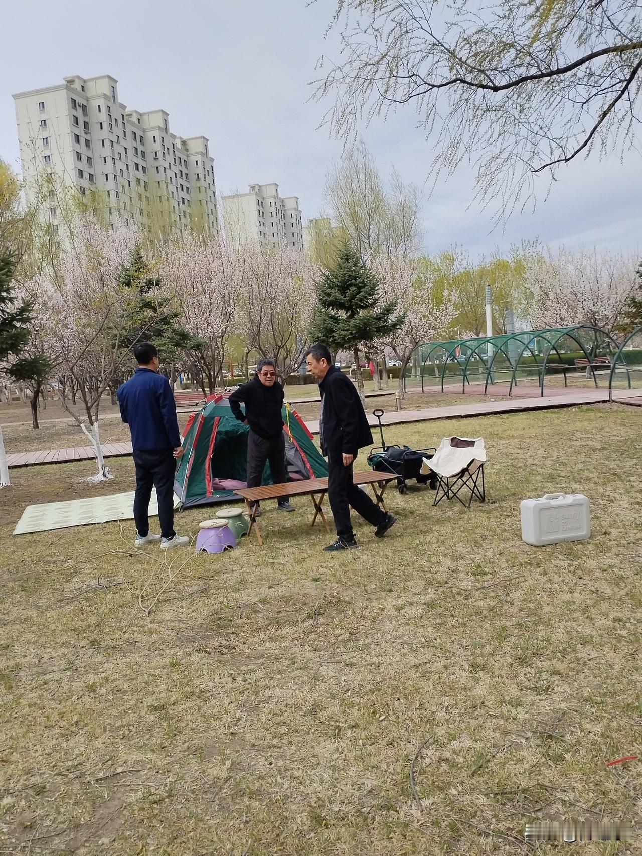 金水流
银花河畔金水流，
活泼喜鹊鸣枝头。
假日野炊架蚊帐，
请续句……
（少女