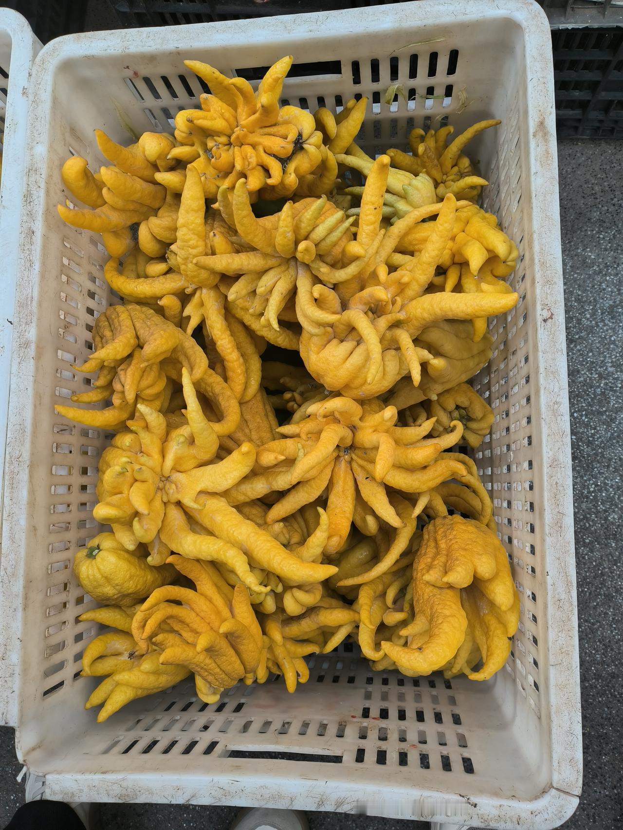 今天去菜市买菜，看到这个东西，不知道是什么。好奇就拍了张照片，听旁边的阿姨说是用