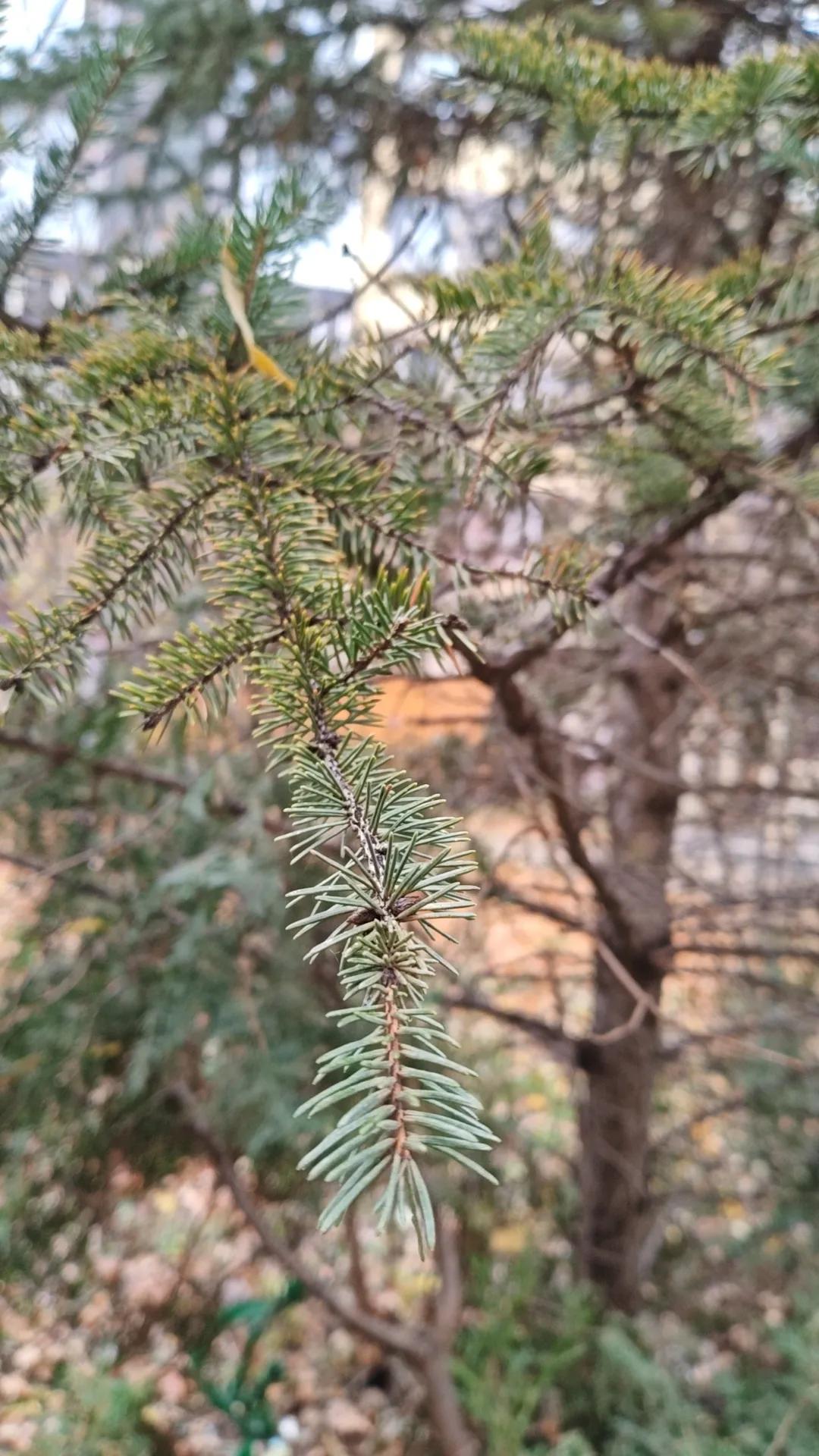 聊聊烦心事吧！

最近的家庭变化有点大，大到一个措手不及。
上班的婆婆因为头晕的