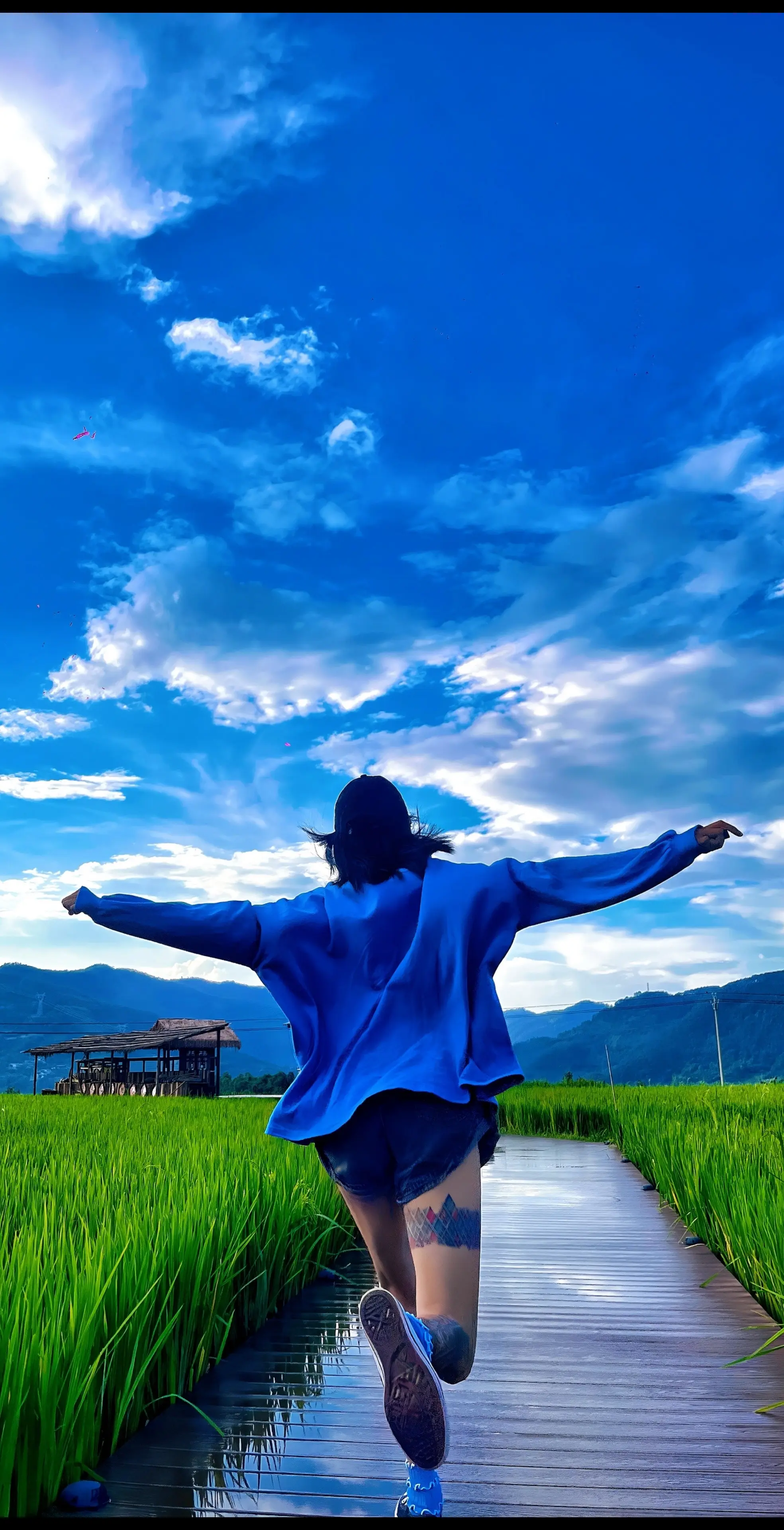 我们吞咽了太多的意义，其实生命只需要呼吸