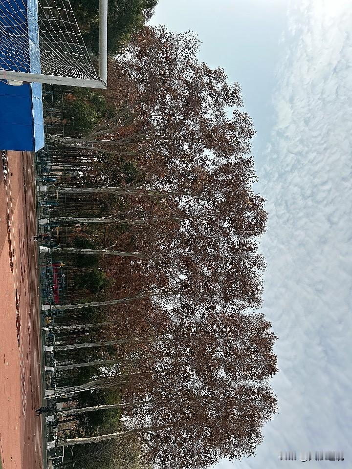 给2026的自己写句话努力完成自己梦想