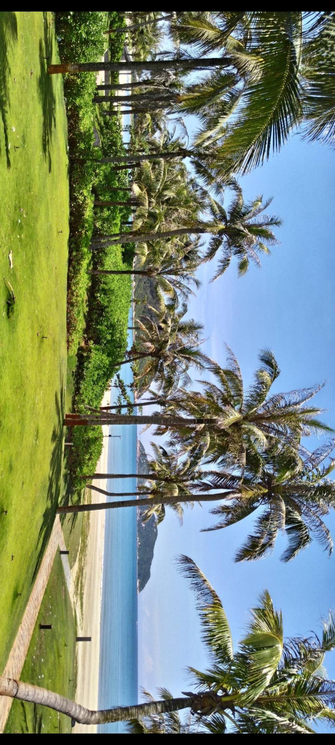 阳光沙滩，椰林摇曳，海风轻拂，度假胜地等你来！🌴🏖️🌊