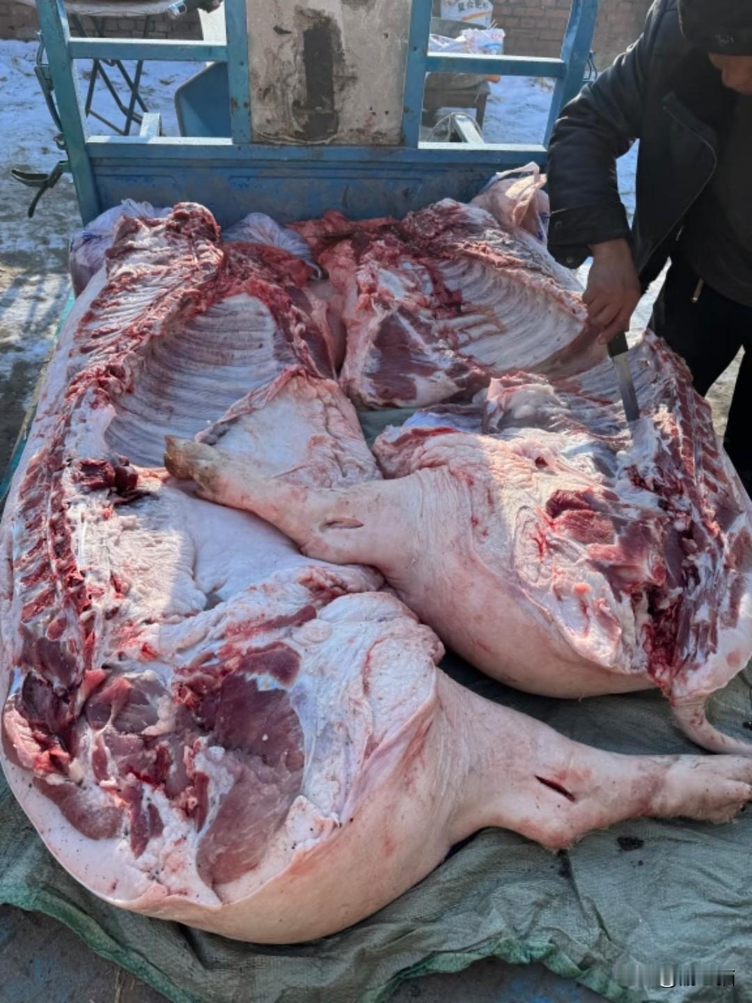 最近“杀猪宴”那可是火得一塌糊涂，就像一颗突然爆炸的“欢乐炸弹”。重庆合川刚火完