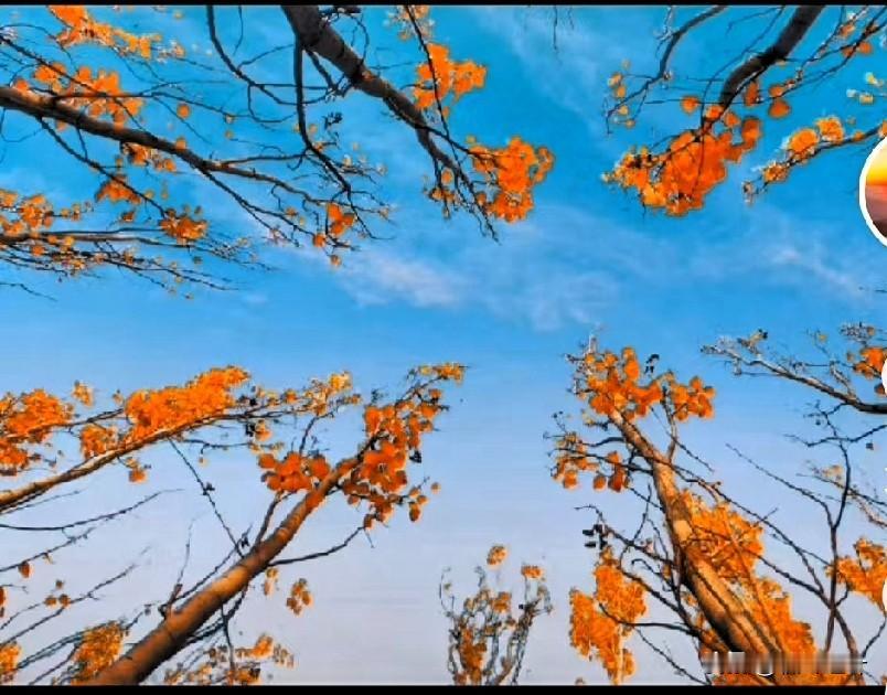 中牟惨案：这几个保命提醒每个家庭都该刻在心里

 咱普通人过日子，最该守住“家里