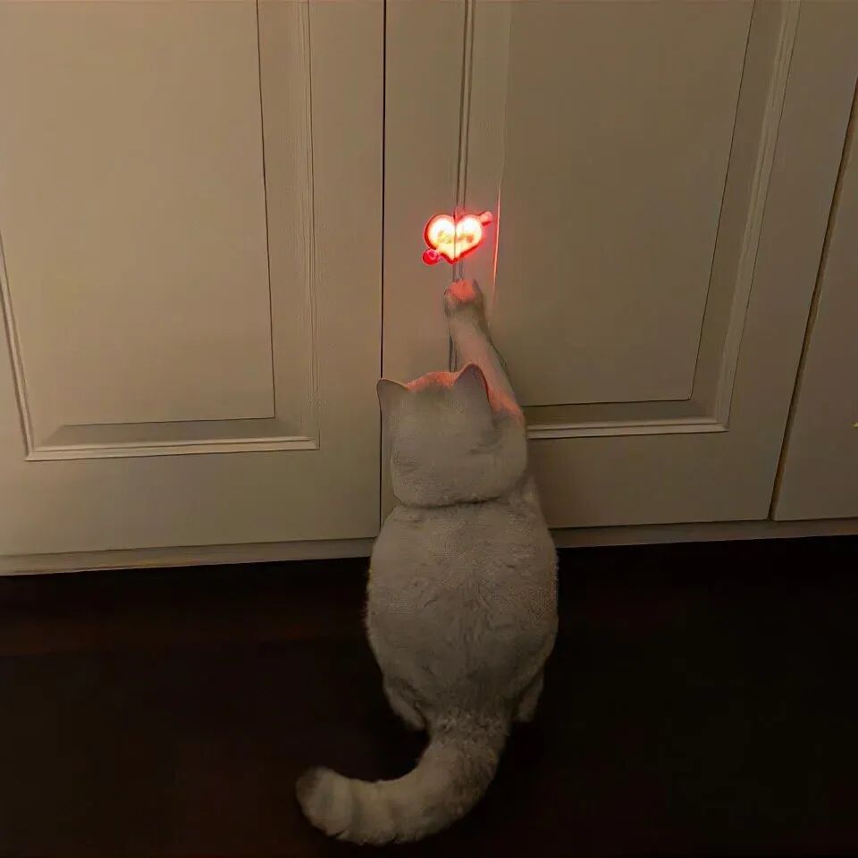 ˖ ¶𝓦𝓲𝓷𝓽𝓮𝓻 𝓓𝓪𝔂 𝓛𝓮𝓽𝓽𝓮𝓻 ₊黑色系