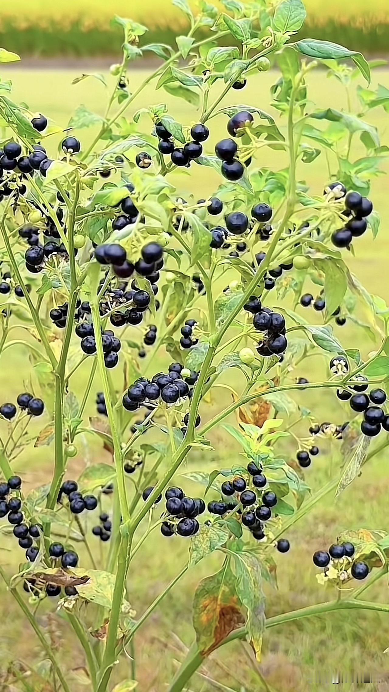 新思维：人生，“三配”要到位。

一个人，一辈子，无论何时何地，你的人生“三配”