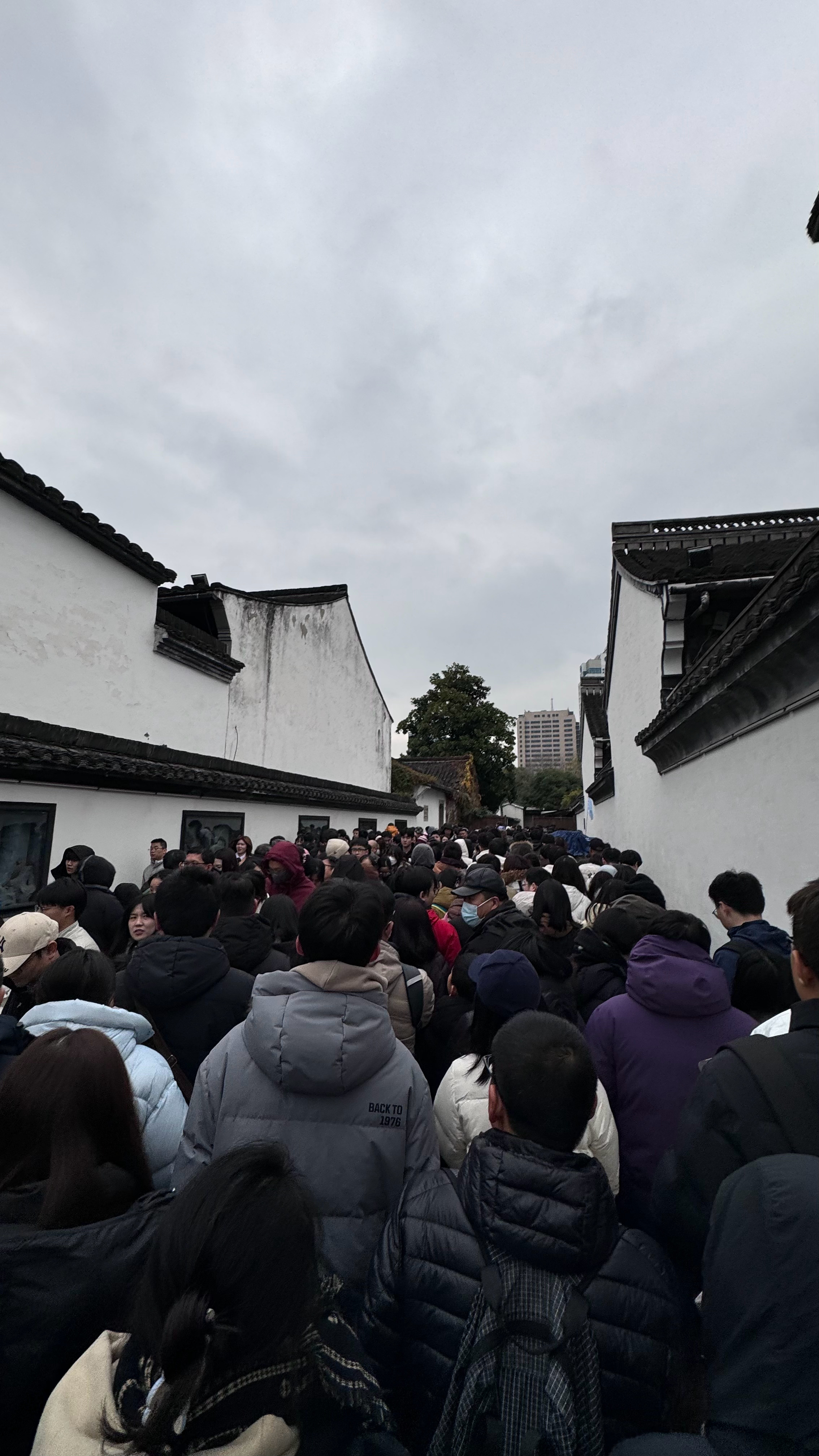 世界上本没有路，走的人多了也就堵死了 绍兴·鲁迅故里