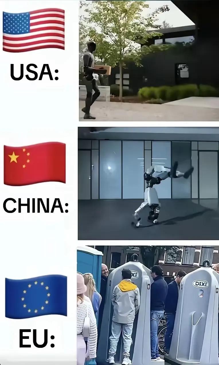 美国CG动画
中国机器人
欧盟印度化