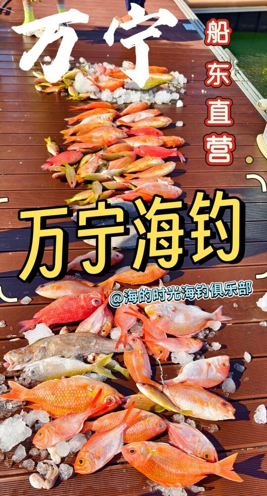 船东直营找娜姐姐