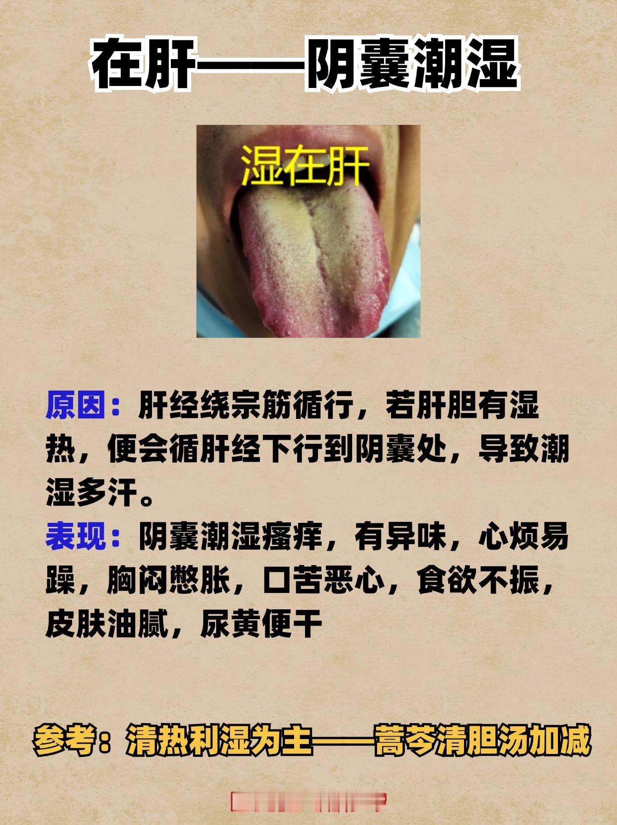 肝湿---阴囊潮湿；脾湿---昙花一现；肾湿---软无力，三药祛你全身湿！
#中