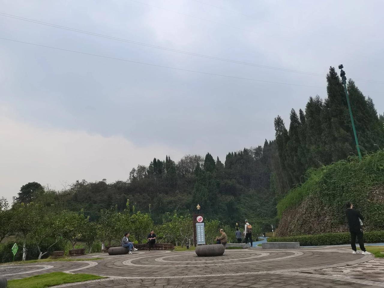 #一张图分享秋日风光#享受秋日午后时光的人们