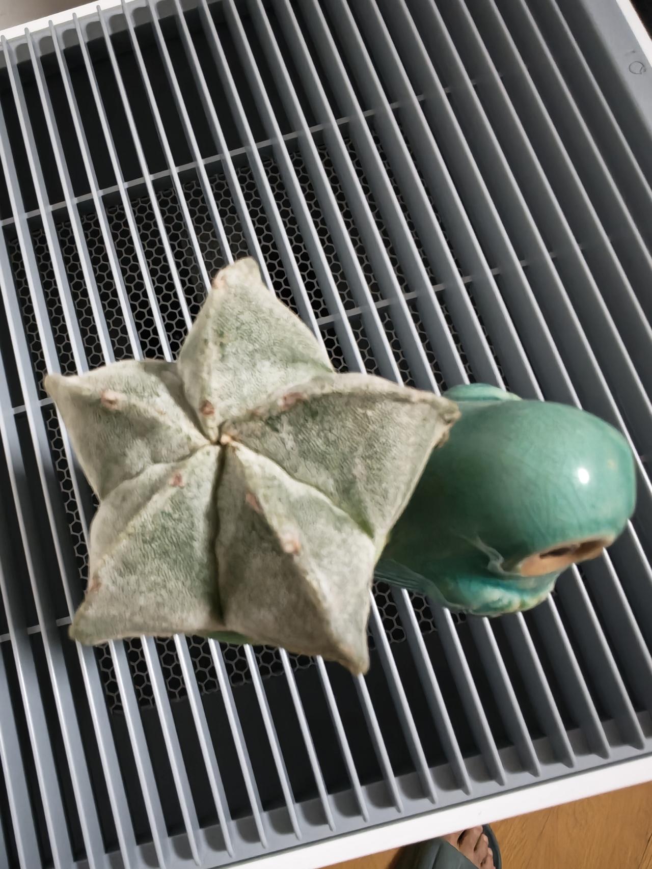 春日生活打卡季好看吧