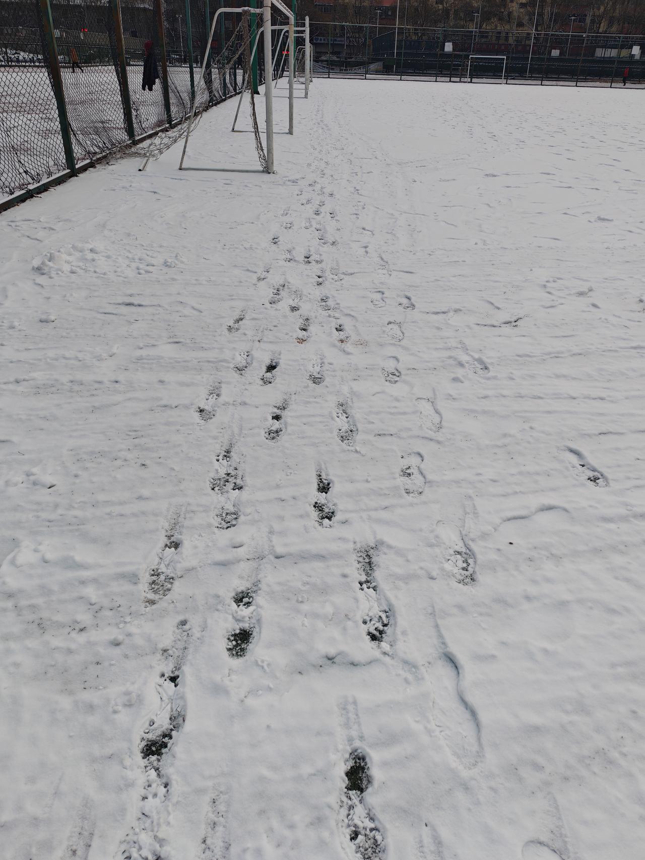 新的一年，走过雪地，发出咯吱咯吱的声音。冬日雪景下的空旷球场，静谧而美丽。