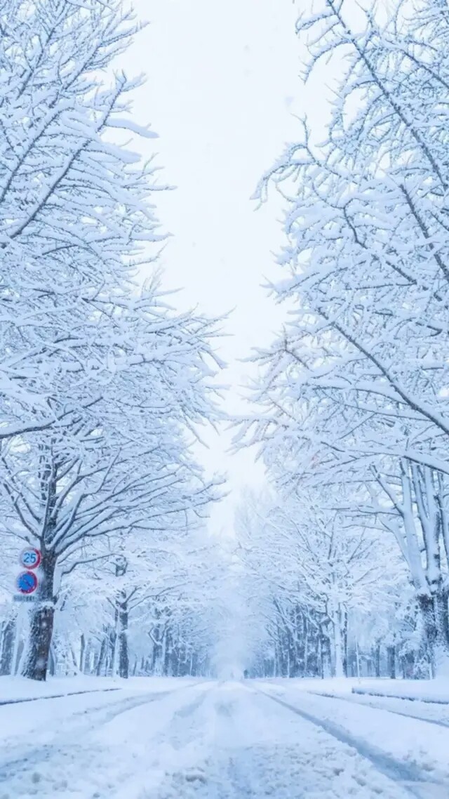 老规矩，睡前一更。明日癸卯  甲子  庚申，金寒水冷叶飘零的一天。虽然如各位所见
