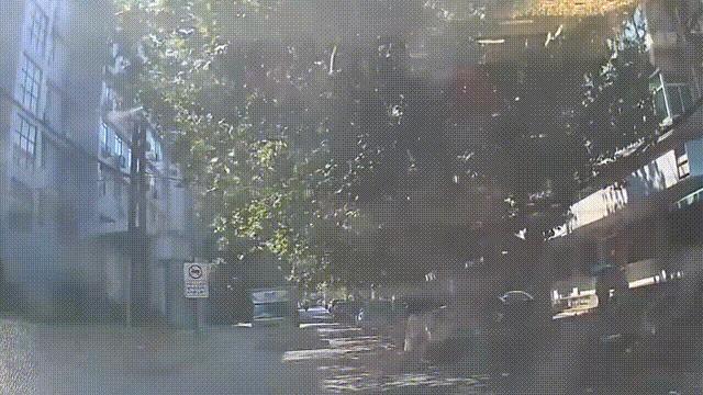 发生交通事故绝不是偶然，你认为下面的看法吗？
有些人天生就分不清红色与绿色！
有