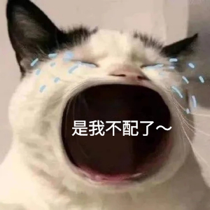 哥哥   是不是忘了大明湖畔的饺子