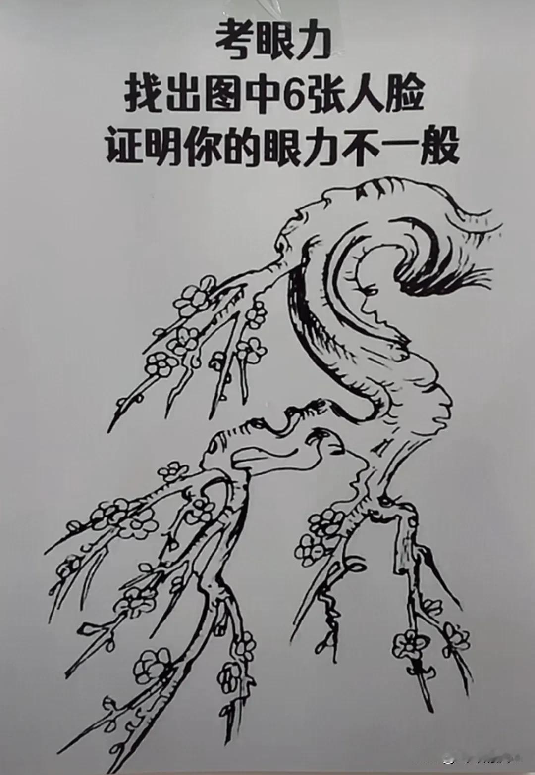 尽全力才找到五张脸，一共有六张，剩下一张无论如何找不到了，最后一张我估计没人能找