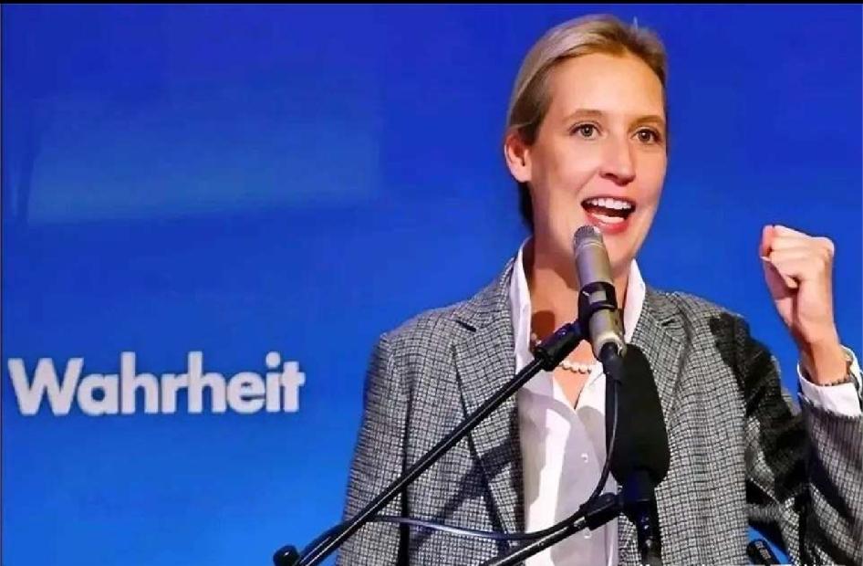 选举结果出炉后，马斯克直接在魏德尔帖子下用德语留言：“Gut gemacht！（