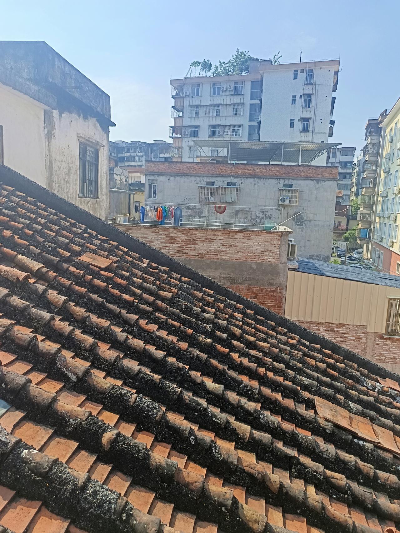 我终于知道了
为什么说肇庆是一个我，有两个5a级风景区的城市
却依然有这么多很旧