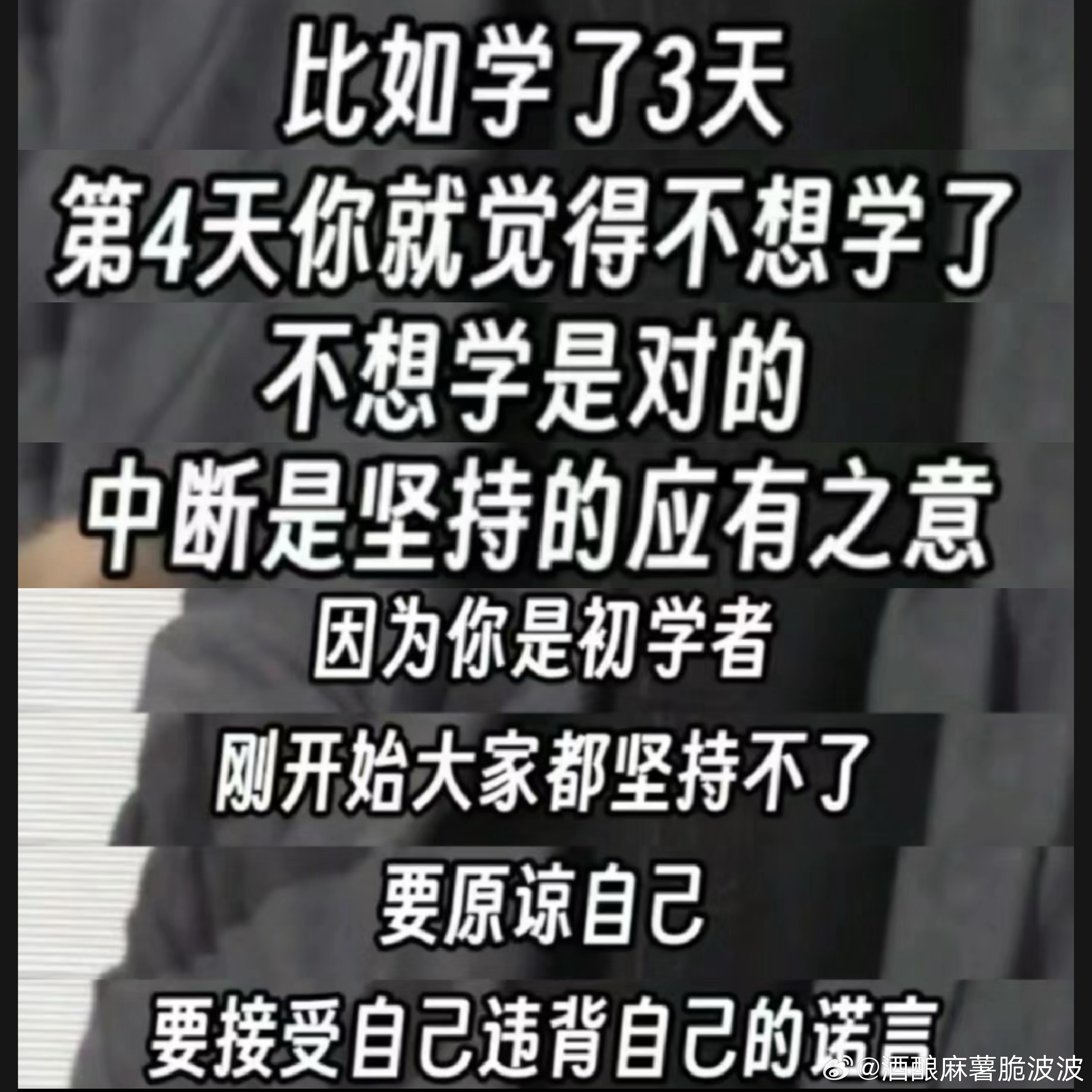 最近渐渐明白的道理是，暂时的中断也是进步的一个环节，要允许计划稍微偏离，不要一偏