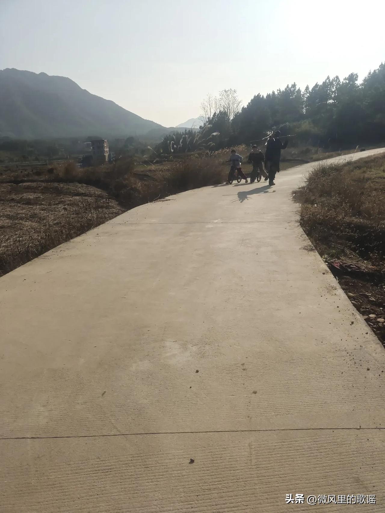 在广东经常看到一些七、八十岁的老人，骑着自行车在乡镇道路上悠悠而过。一大把年纪了