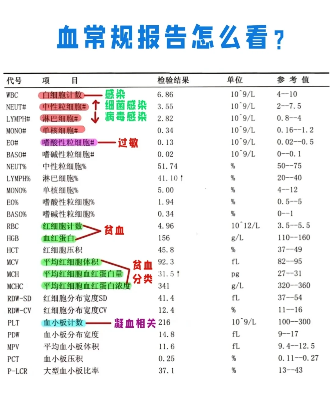 学会看血常规，你也可以成为半个医生！