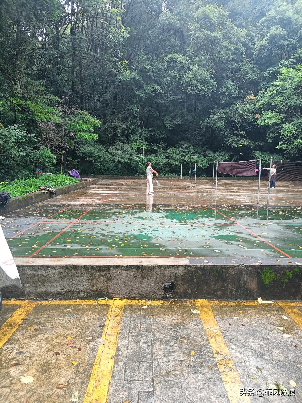 夏日生活打卡季