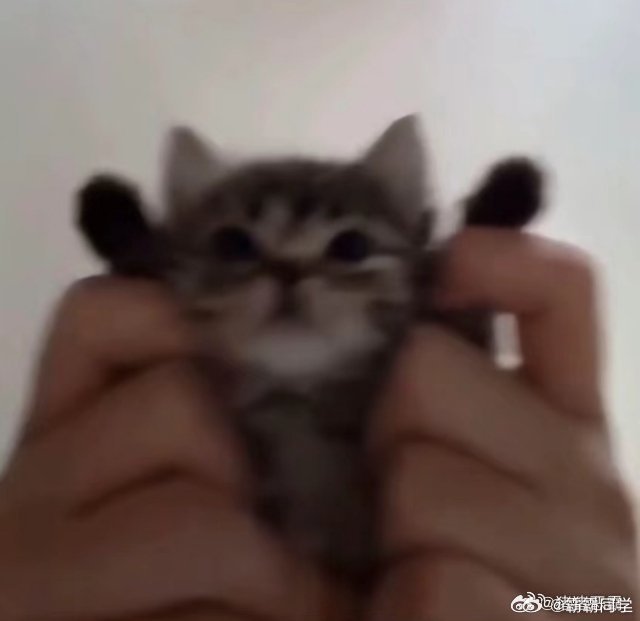 只有本地人才懂的浙江省饭 浙江人吃饭的仪式感，就是舀一勺热汤浇在米饭上，普通白米