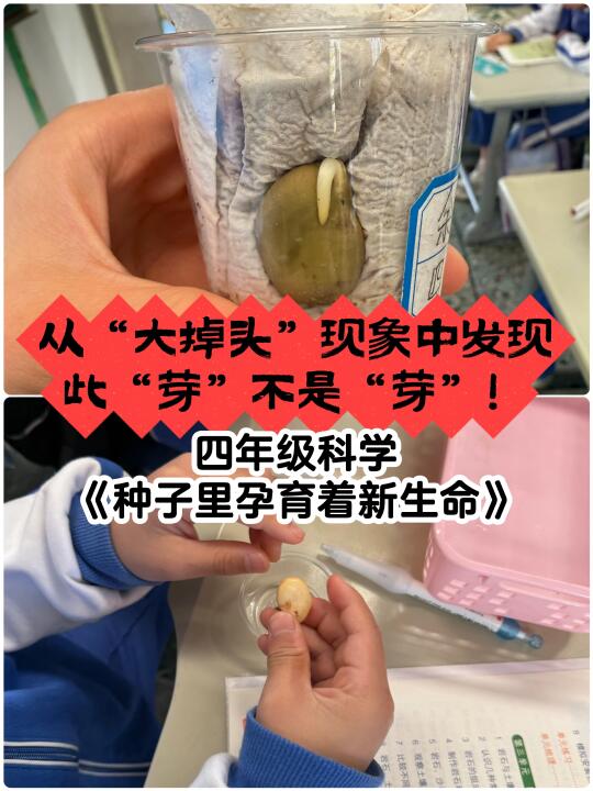 学生猜种子里有“导航系统”可还行🤣