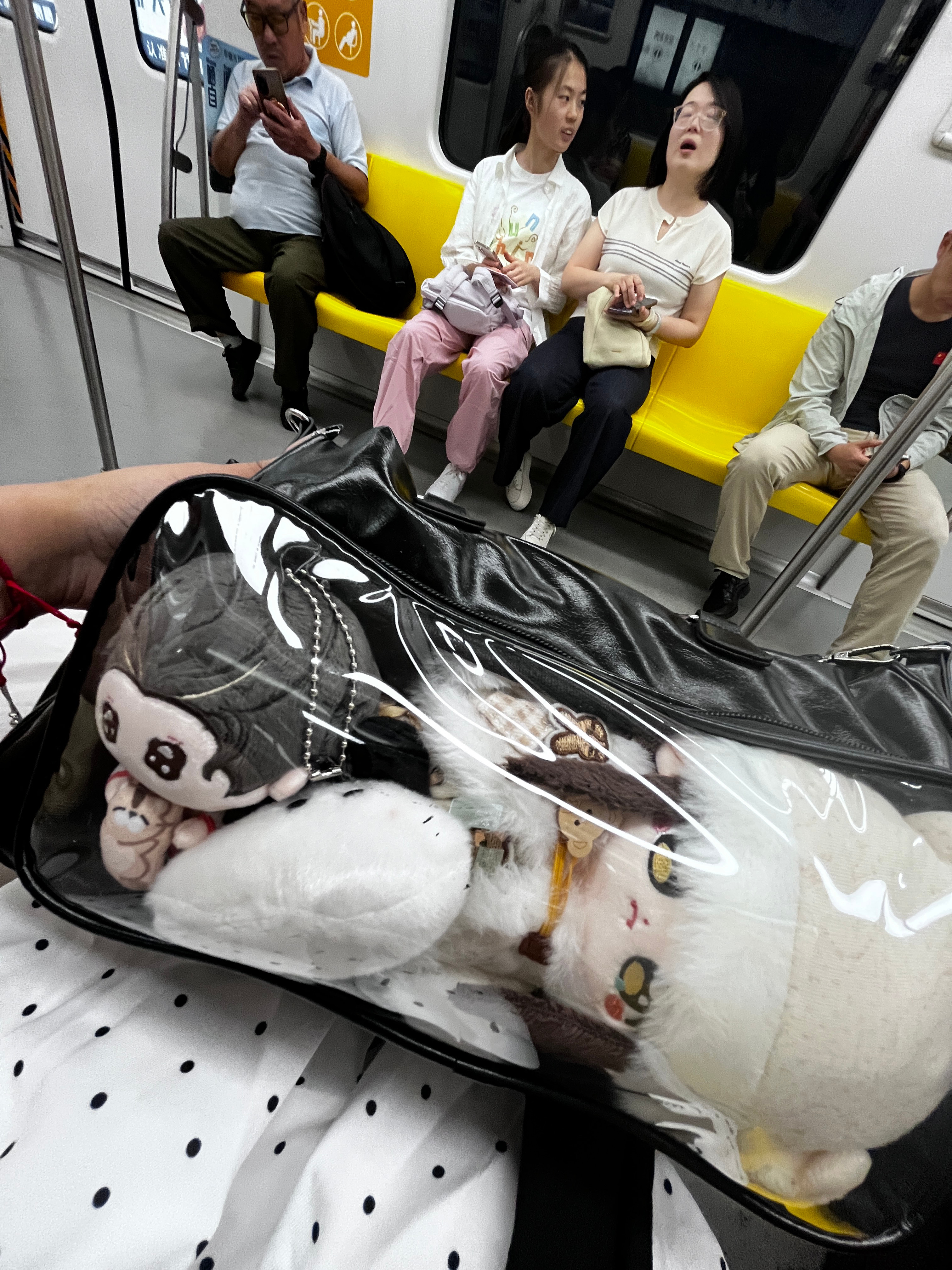 所有人来偶遇我！！！ 