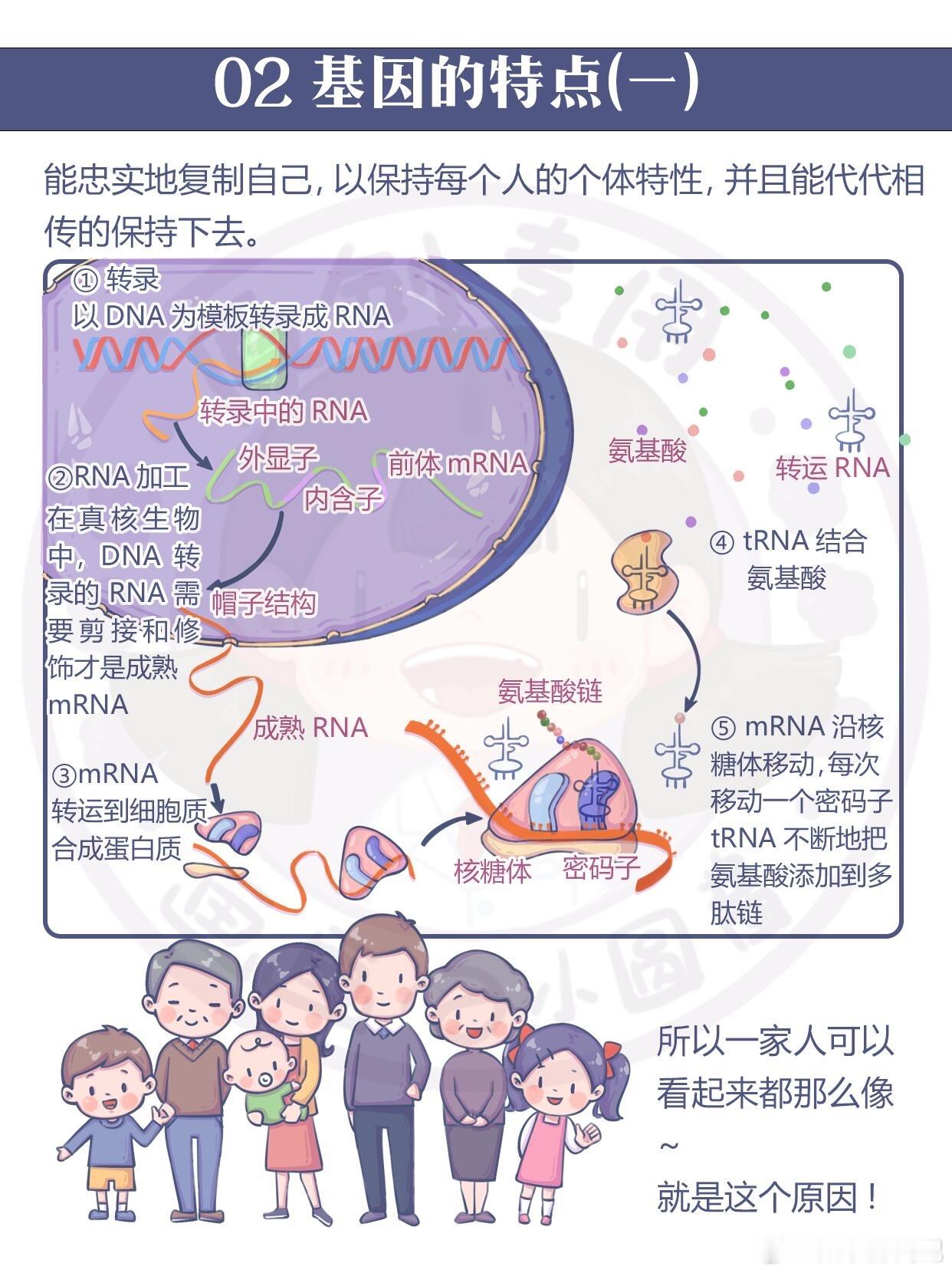 夫妻听力正常生两胎却都是耳聋 一份坚持在悄然改变轨迹，世界或许有时不声不响，但善