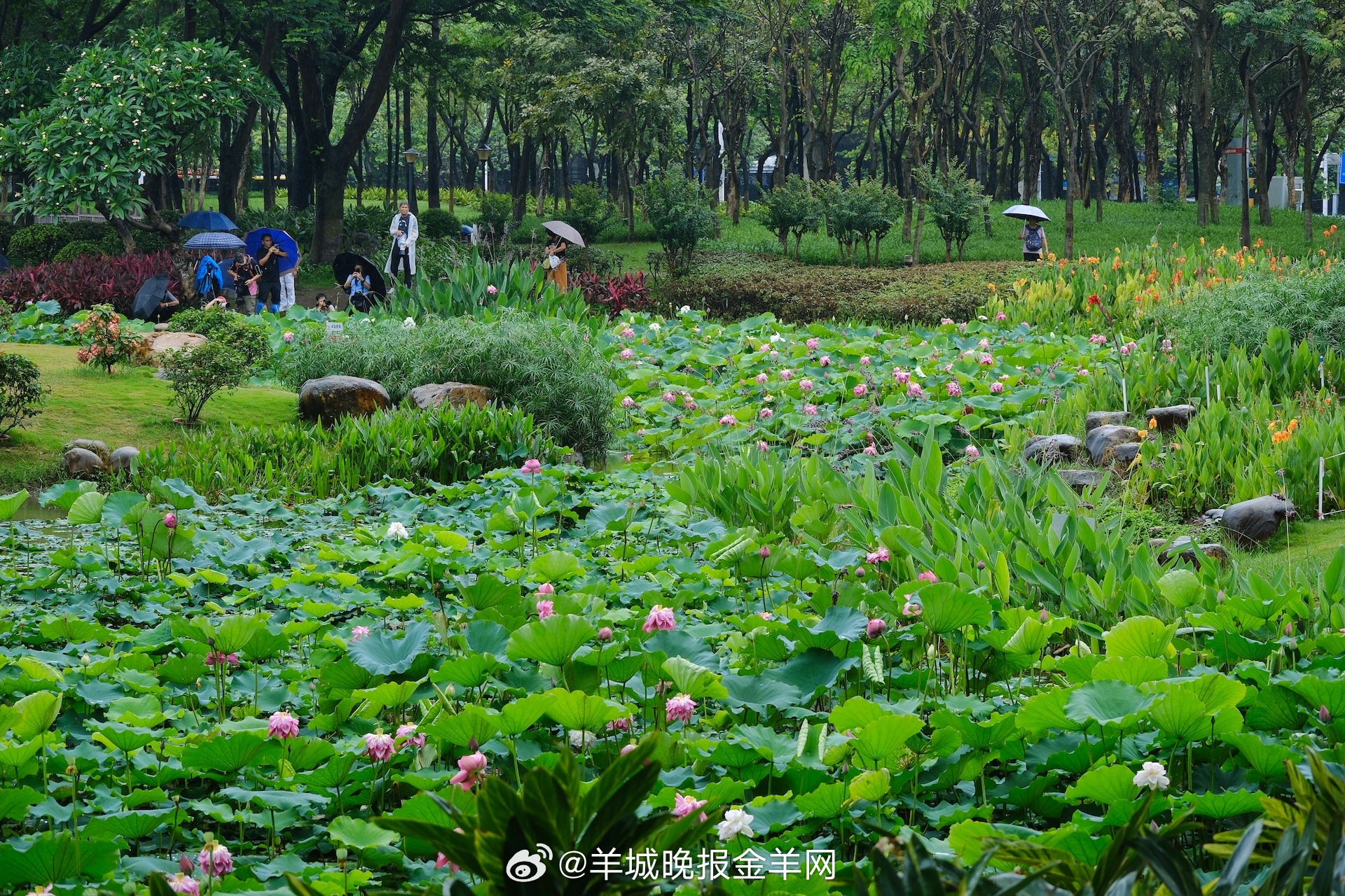 #晚安#当你真正活在了时间里，时间便会慷慨地回赠你——以平静，以力量，以你自己都