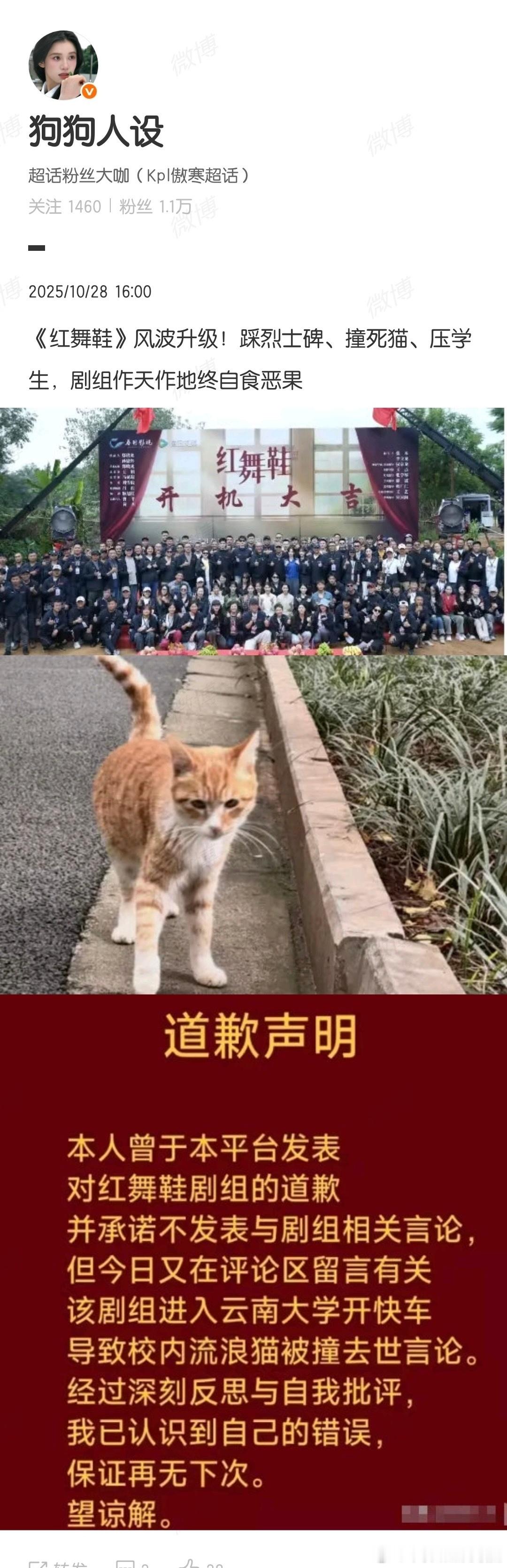 什么情况，那个因为发逝去小猫的云南大学的学生刚刚突然跟红舞鞋剧组道歉了[哆啦A夢