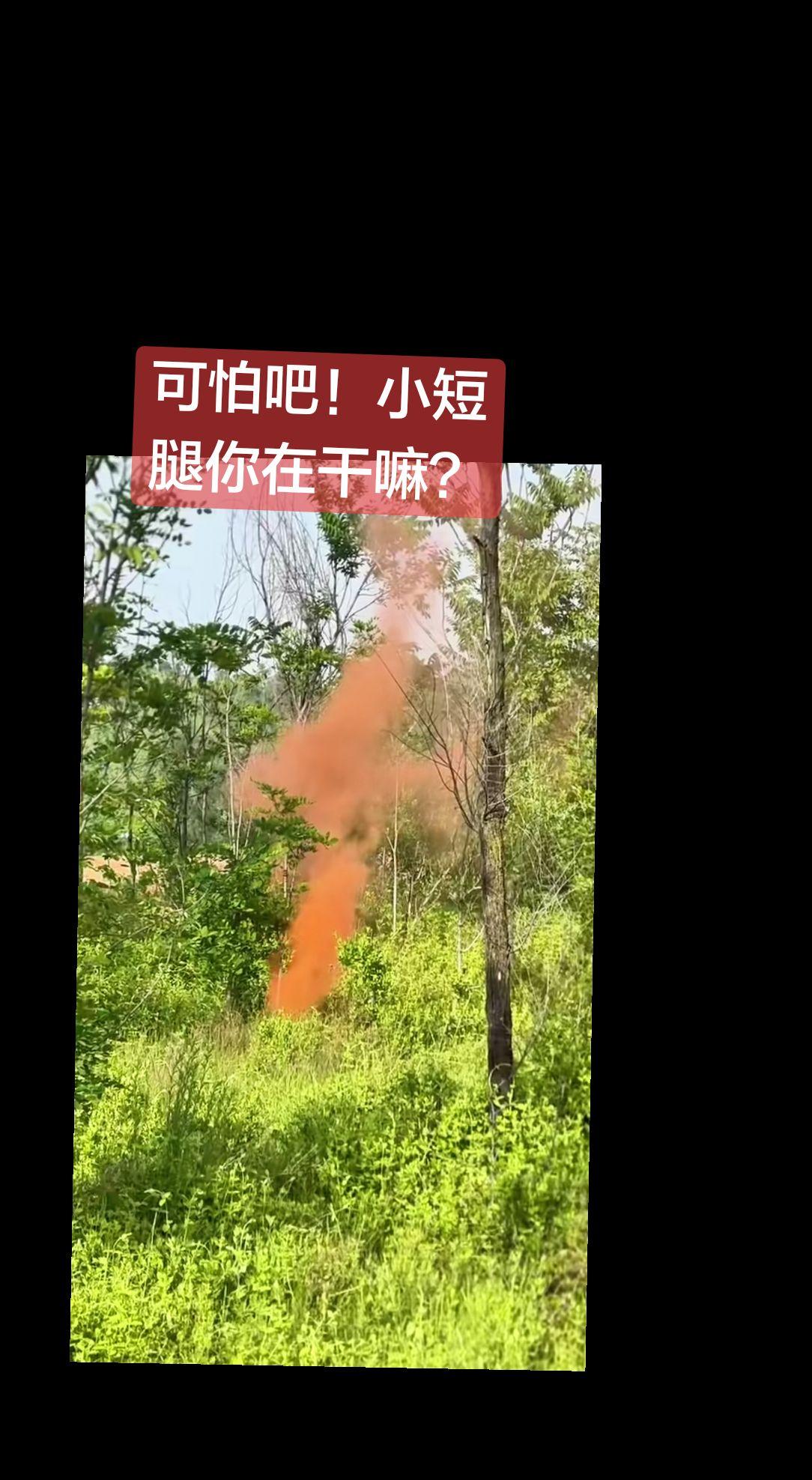 上热门🔥 传播国内wargame文化 毒气 上热搜 讨论