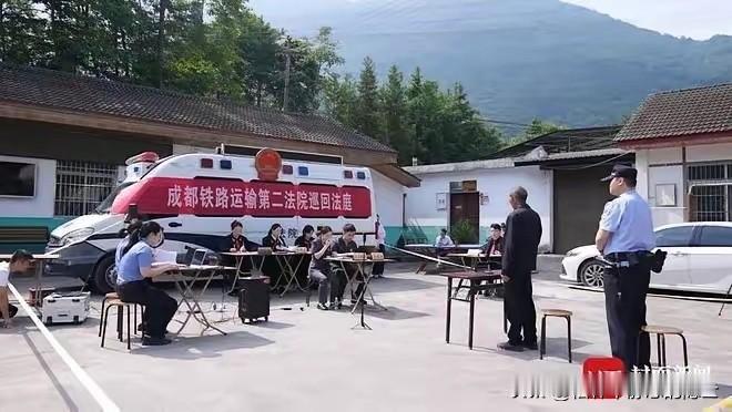四川绵阳，66岁的老魏养了两只猎梗犬，长期放任它们在自己承包的山林里自由活动。2